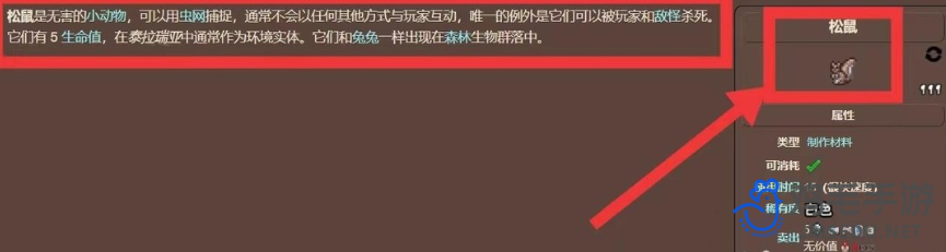 《泰拉瑞亚》松鼠获取方法