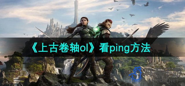 《上古卷轴ol》看ping方法