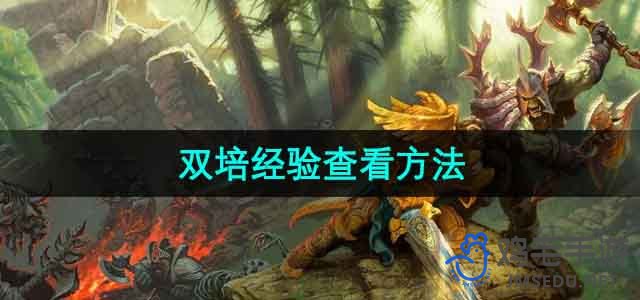 《魔兽世界》乌龟服双培经验查看方法