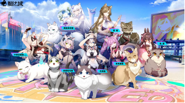 猫拟人主题卡牌经营RPG《猫之城》全平台正式上线，快来撸猫吧！