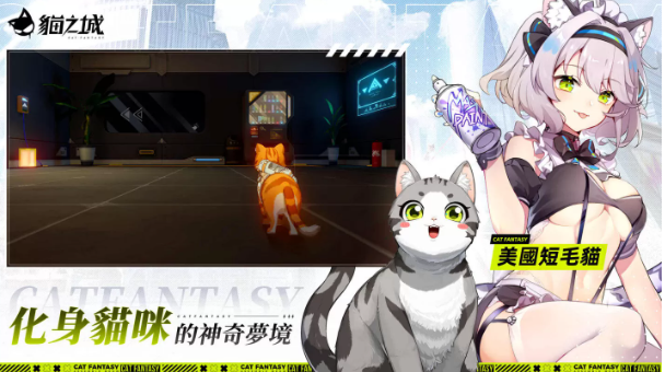 猫拟人主题卡牌经营RPG《猫之城》全平台正式上线，快来撸猫吧！