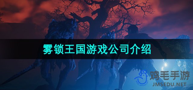 《雾锁王国》游戏公司介绍