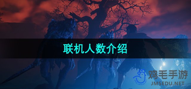 《雾锁王国》联机人数介绍