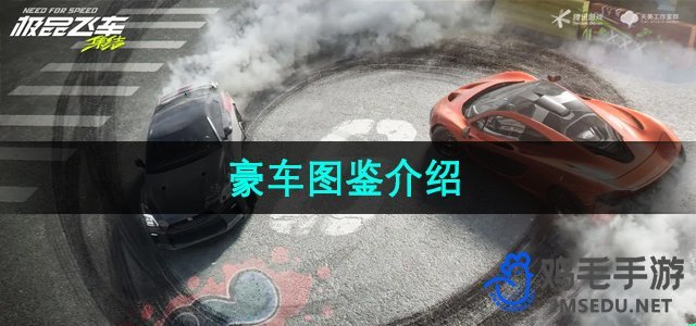 《极品飞车集结》豪车图鉴介绍