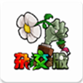 pvz杂交版骄阳玉米投手