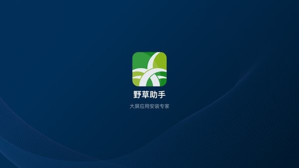 野草助手tv版截图