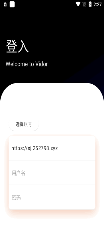 vidor截图