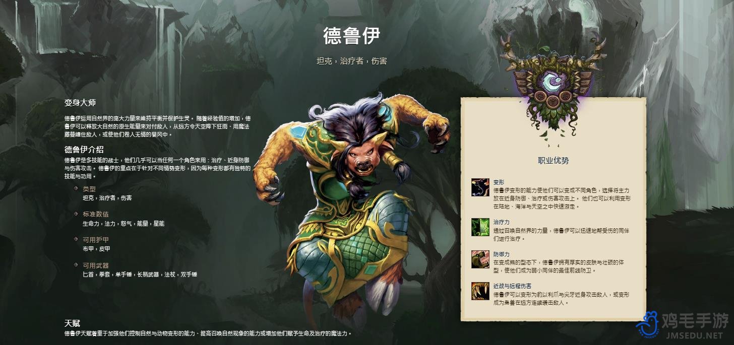 《魔兽世界》圣骑士和德鲁伊好玩性对比