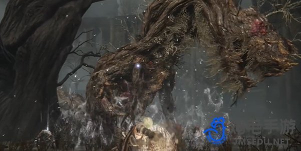 《艾尔登法环》DLC黄金树幽影魔法荆棘上身获取方法