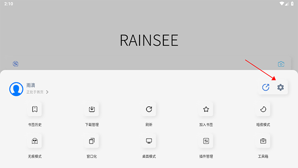 Rains浏览器旧版本