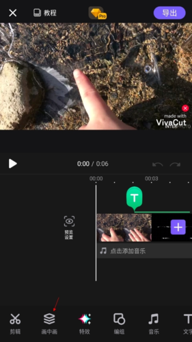 VivaCut专业版