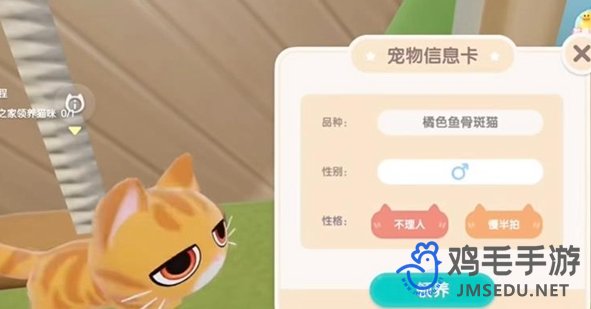 《心动小镇》养猫方法介绍