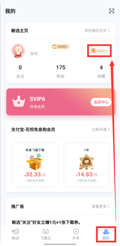 飞猫盘免费vip版